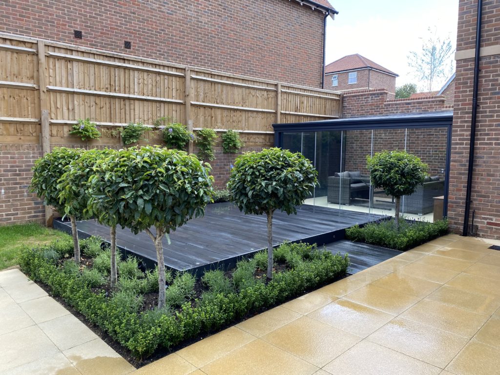 creative-planting-lollipop-trees