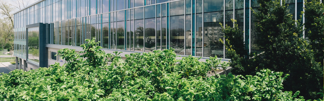 Helping you maintain and create the perfect setting for your business