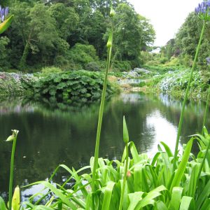 Lake & bridge – garden design hampshire and west sussex Lake & bridge - garden design hampshire and west sussex