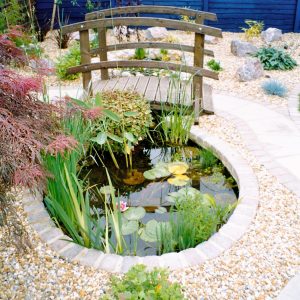 Pond 3 – garden design hampshire and west sussex Pond 3 - garden design hampshire and west sussex