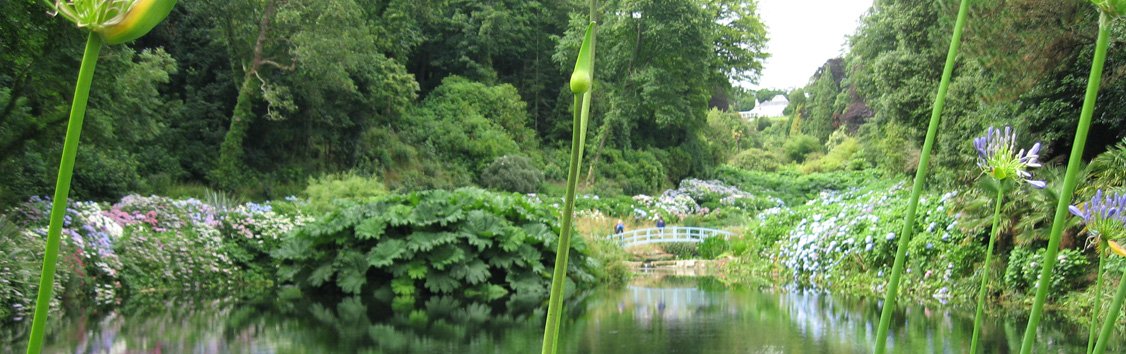 We offer a complete garden service