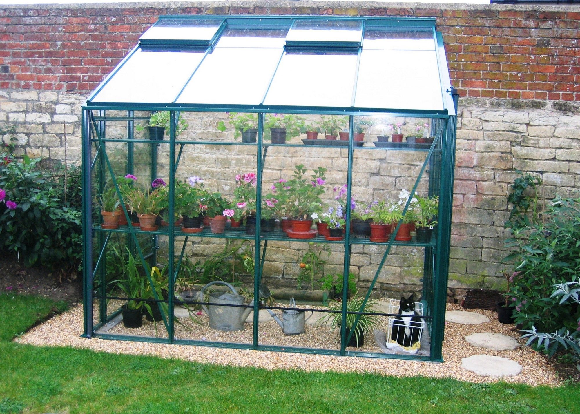 Robinsons Lean to Greenhouse Old Cottage Green