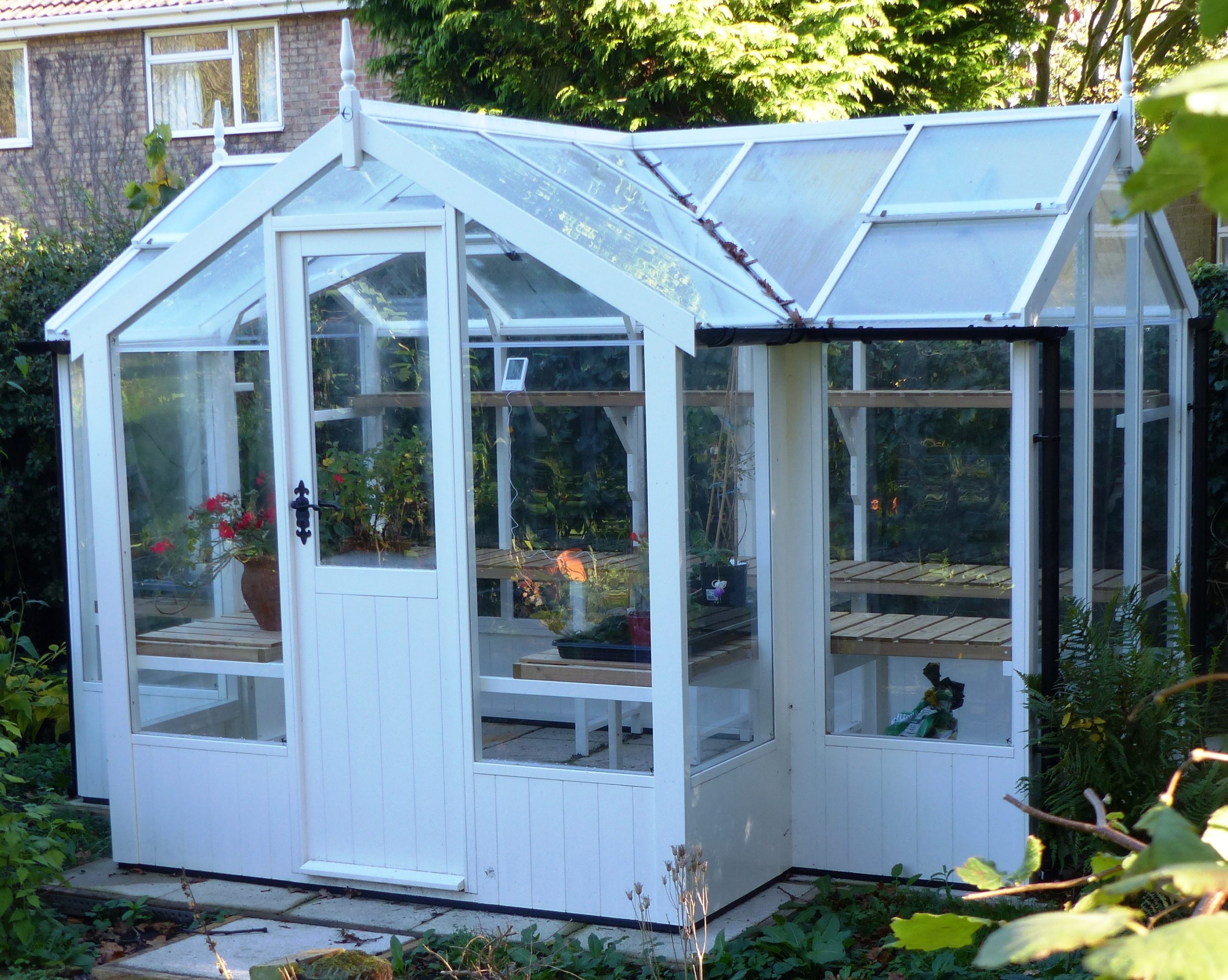 Swallow Cygnet greenhouse 6'8 x 11'5 painted Robins's Egg Blue